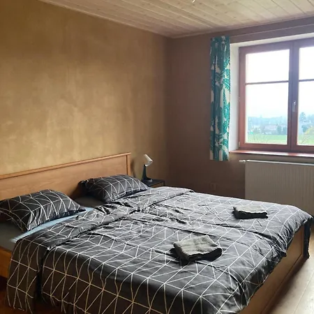 Apartman U Letiste Frydlant nad Ostravici Exterior photo