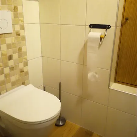 Apartman U Letiste Frydlant nad Ostravici Exterior photo