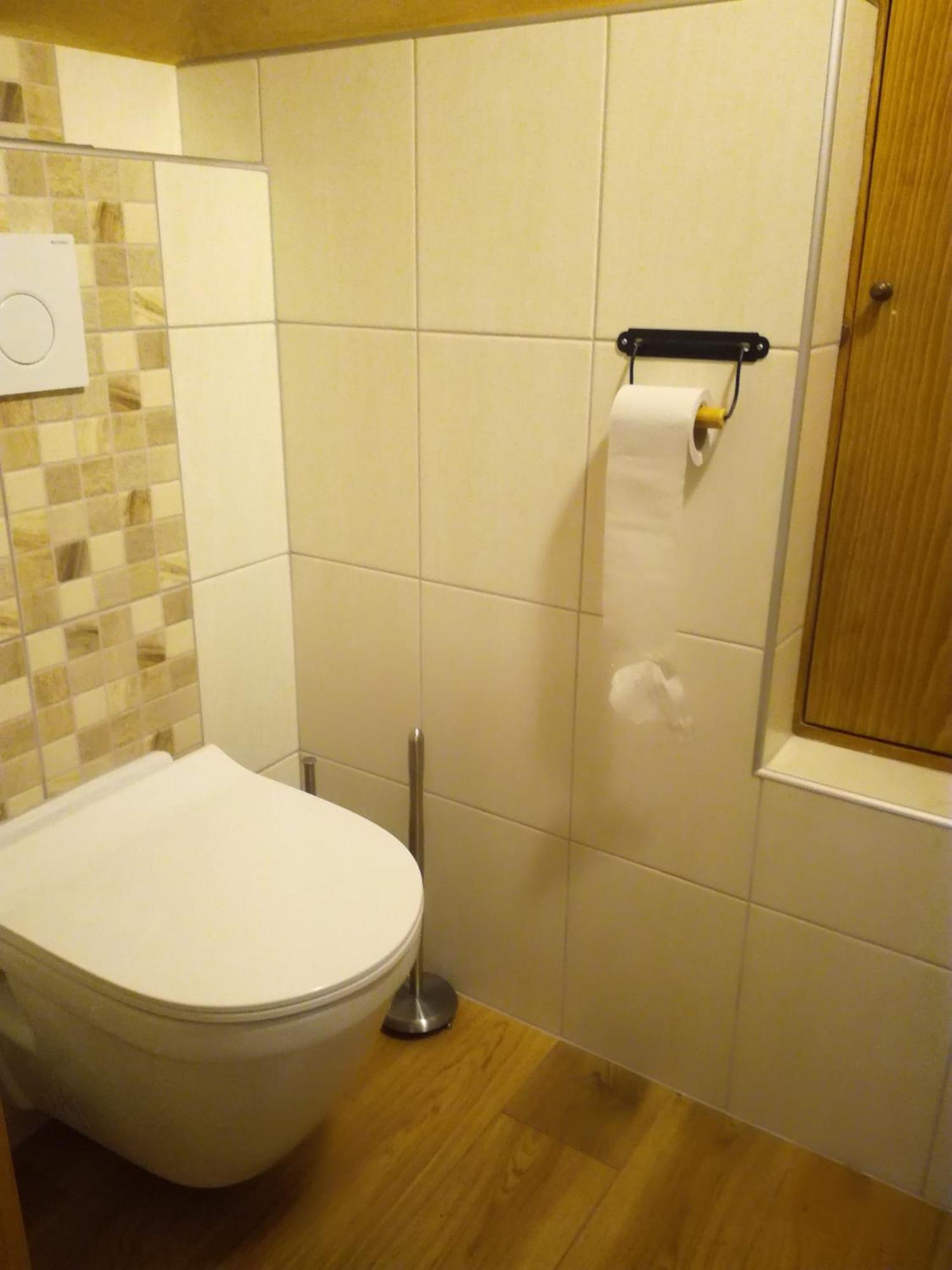 Apartment U Letiste